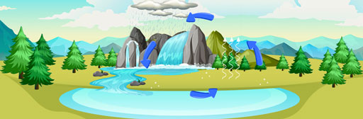 Cycles in Matter & Water Cycle